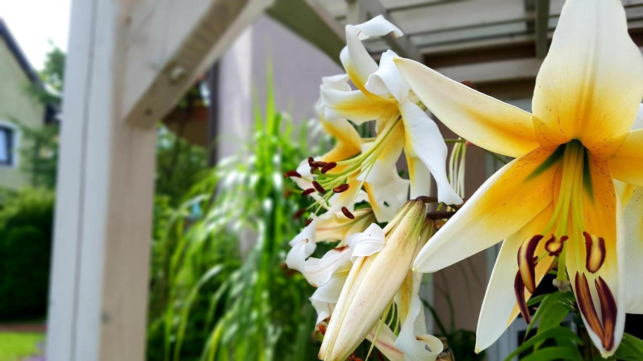 Villa Bri เวบา ภายนอก รูปภาพ